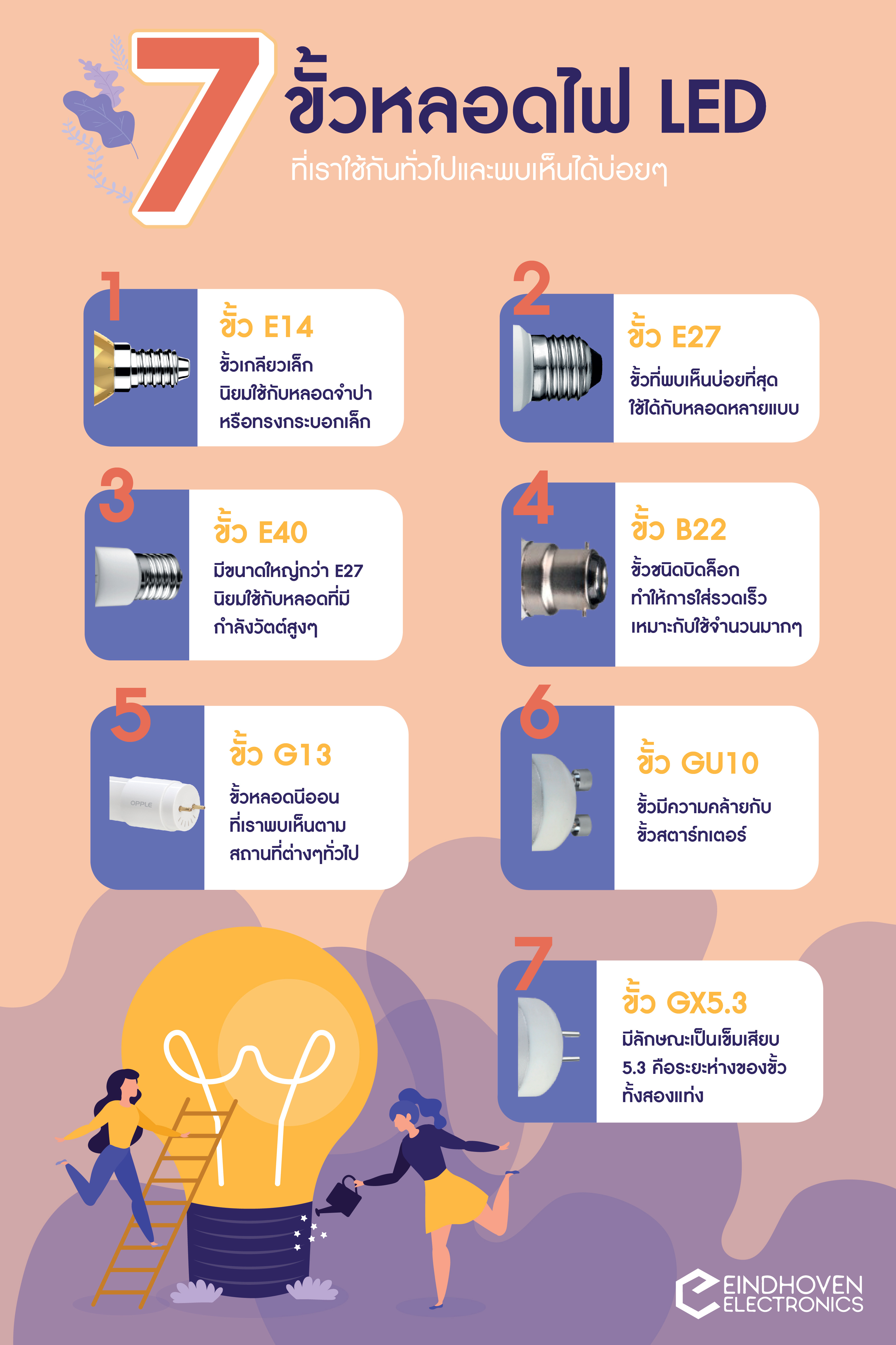 ขั้วหลอดไฟ